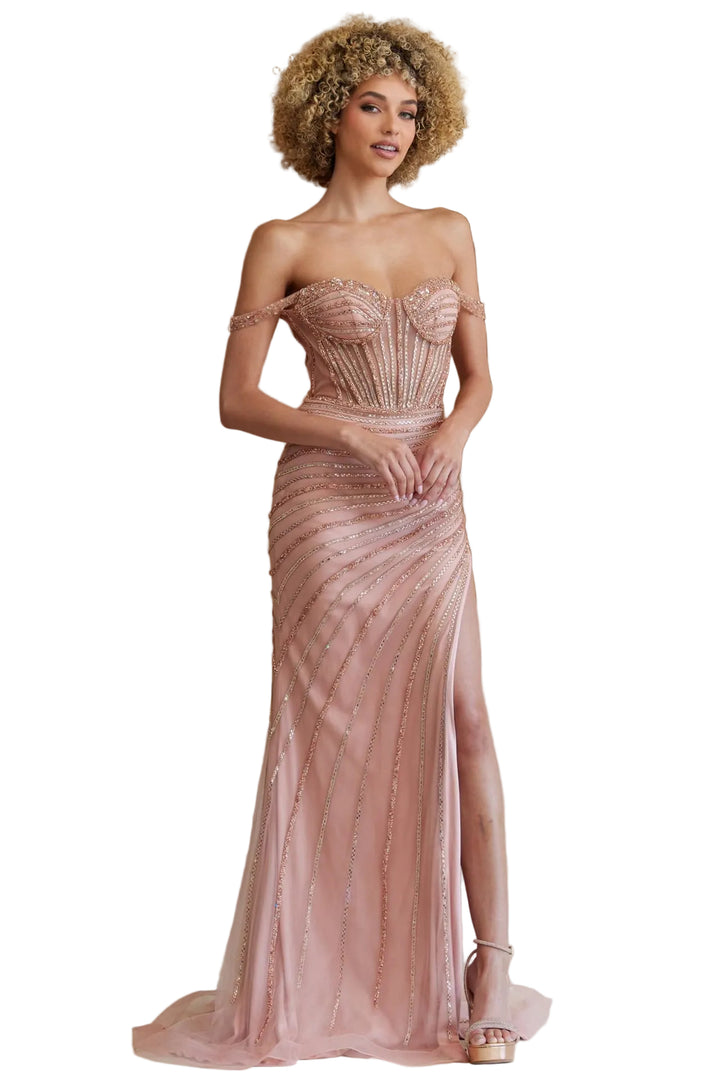 Amelia dresses Amelia - tm1029 - Rose Gold